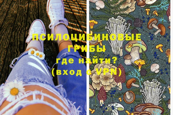 mdpv Горно-Алтайск