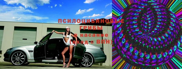 mdpv Горно-Алтайск