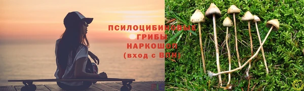 mdpv Горно-Алтайск